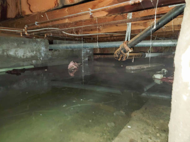 Best Residential water damage restoration  in Glenville, CT