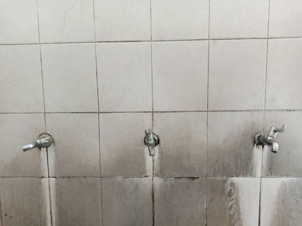 Best Ceiling water damage repair  in Glenville, CT