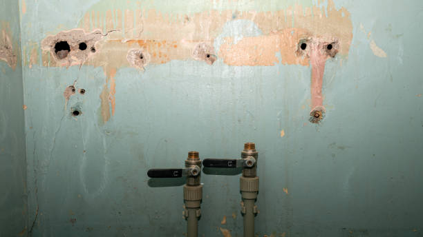 Best Professional water damage repair  in Glenville, CT