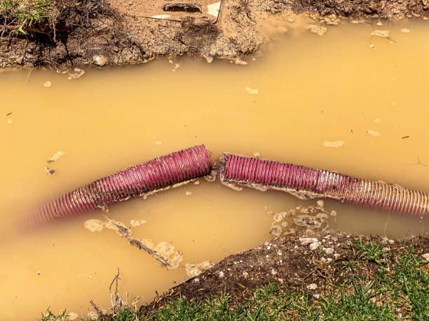 Best Flood restoration services  in Glenville, CT