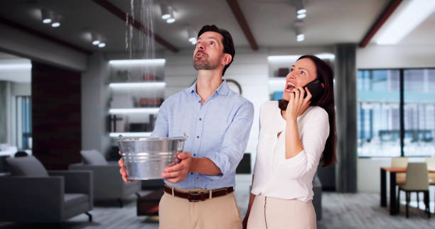 Best Professional water damage repair  in Glenville, CT